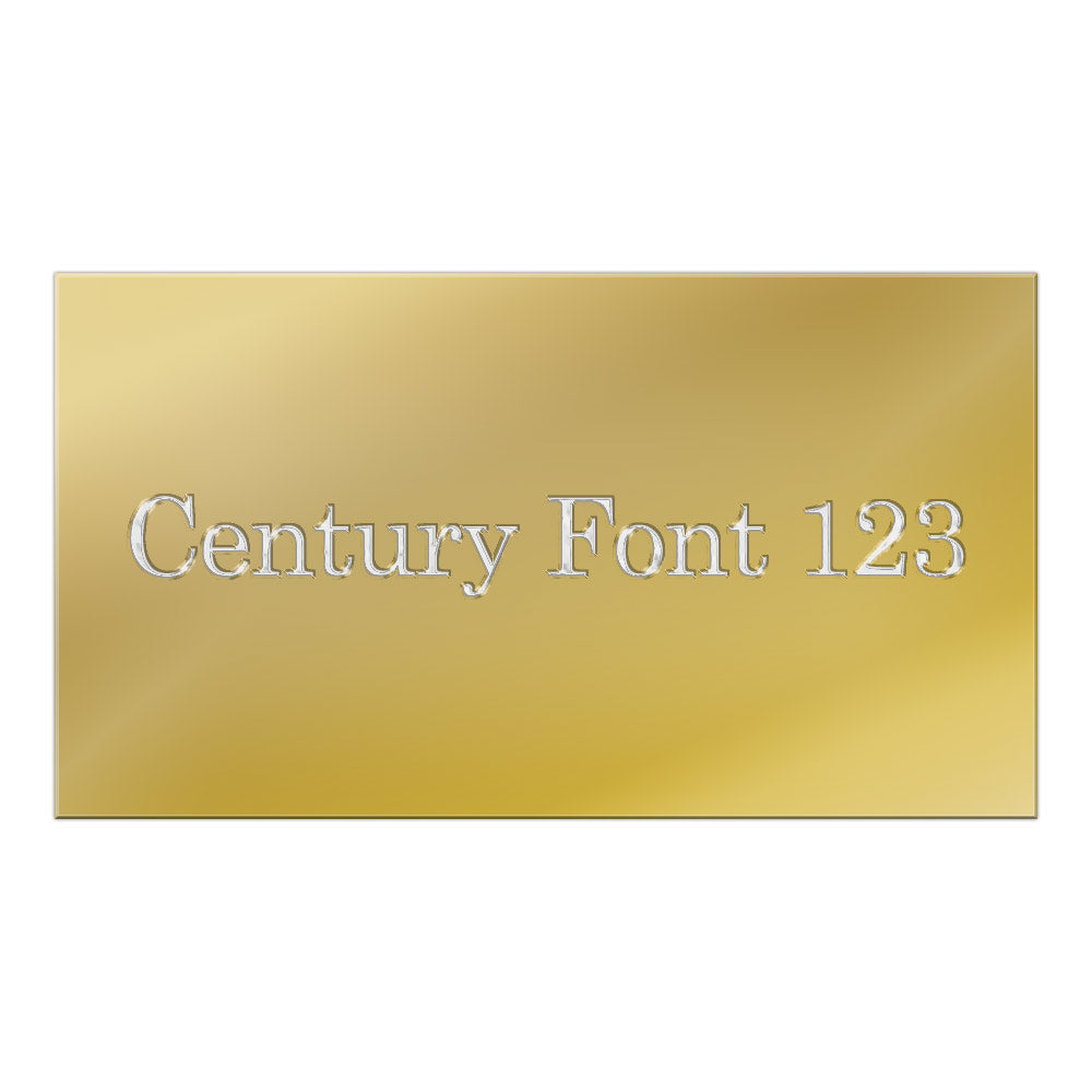 NEW Standard Plate 100mm x 50mm